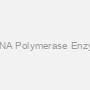 T DNA Polymerase Enzyme